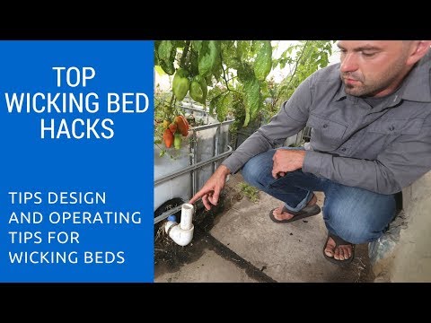 Live Q&A With Rob Avis on Wicking Beds