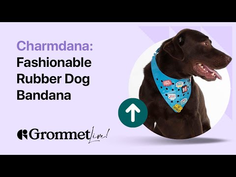 Show Off Your Pup's Style with Charmdana Fashionable Rubber Dog Bandana | Grommet Live