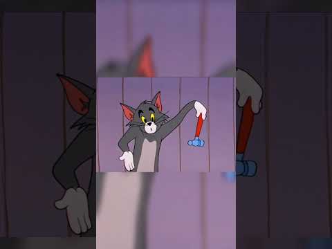 #tomandjerry #tomandjerrymemes #cartoonnetwork #cartoons #carto#followformoreupdates #funny #comedy