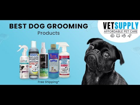 Dog grooming | Dog grooming kit | Dog grooming supplies | VetSupply