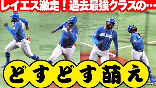 【過去最強レベル】水野達稀がタイムリー3塁打『レイエスは魂の激走で“どすどす萌え”炸裂！』