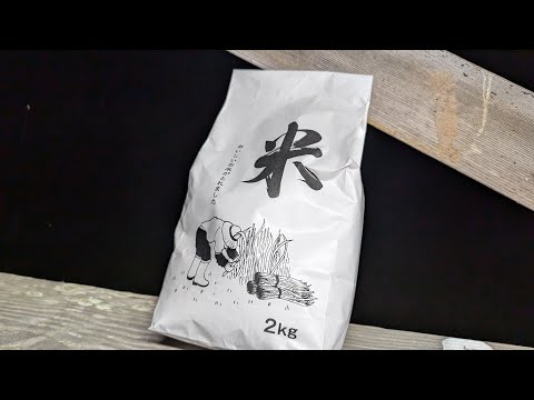 キャンプ場で晩御飯【LIVE】