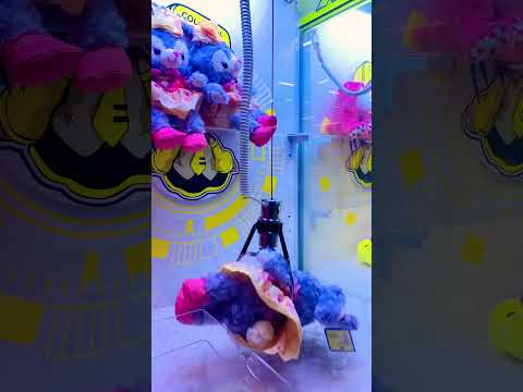 Challenge Day 48 : Catch a doll 1 time/day  #shorts #subscribe #share #viral #thailand #bear #teddy