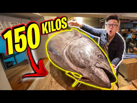 ¡¡ASÍ NOS PREPARARON UN ATÚN de 150KG!!