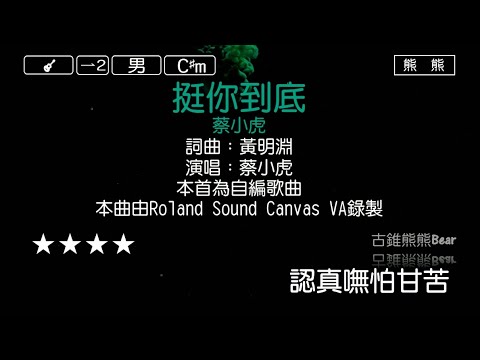 挺你到底-蔡小虎(Karaoke伴奏)