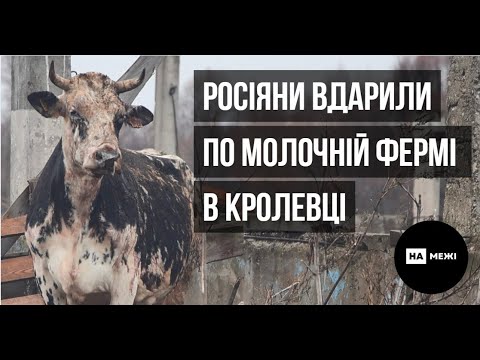 Росіяни вбили корів у Кролевці