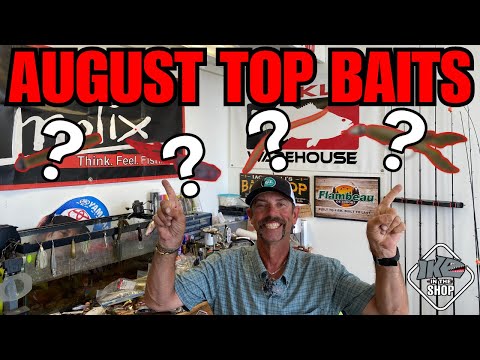 Top Bass Fishing Baits for August!!! (MUST HAVE!)