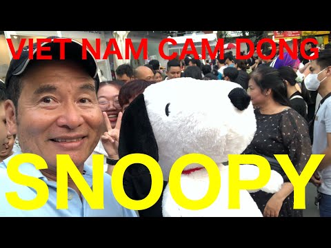 VIETNAM CAM DONG   SNOOPY