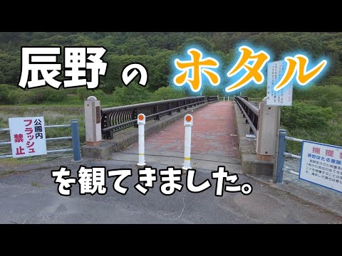 【2024年6月1日】辰野のホタルを観てきました。　｜辰野ほたる童謡公園｜長野県辰野町｜