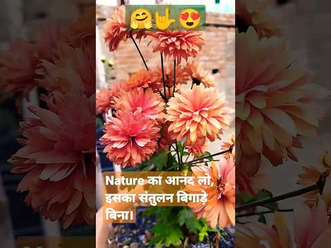 Nature का आनंद 🪴लो, इसका संतुलन🌼 बिगाड़े बिना।💐 #shorts   #life  #yourlife #ytshorts