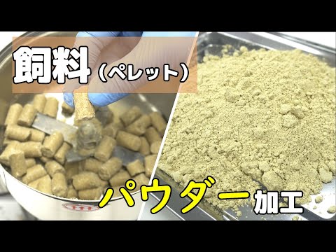 【粉砕テスト】飼料（ペレット状）を卓上粉砕機で粉砕した結果（ハイスピードミル）