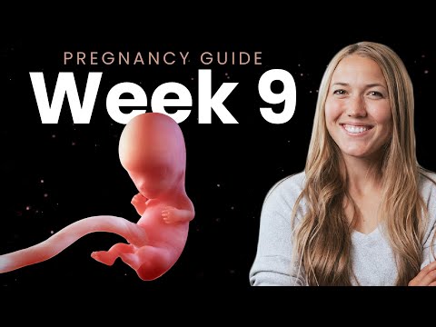 9 Weeks Pregnant | Week By Week Pregnancy