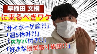 【早稲田受験】文化構想学部が一番良い！！！ただただ文化構想学部を推します。