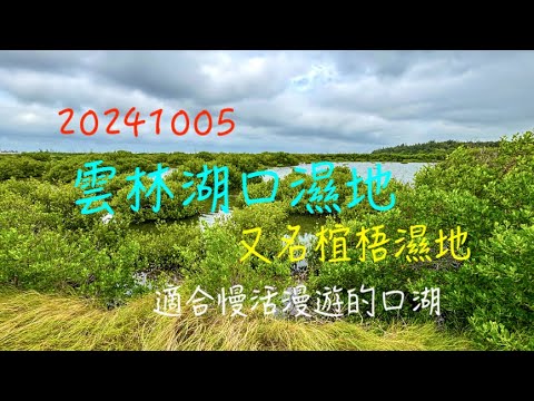 萬ㄟeye台灣20241005雲林湖口濕地又名椬梧濕地   4K