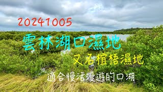 萬ㄟeye台灣20241005雲林湖口濕地又名椬梧濕地   4K