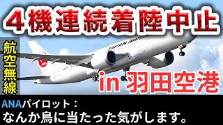 【航空無線】羽田空港4機連続ゴーアラウンド大騒動！バードストライクの真実と緊迫のリアル音声を公開!【緊急事態/日本語字幕/ATC】