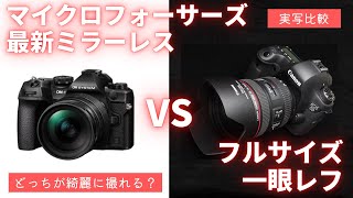 【実写比較】最新マイクロフォーサーズミラーレス vs フルサイズ一眼レフで写真を比べてみた【OM-1 MarkII】【EOS 6D】【OM SYSTEM】【Canon】