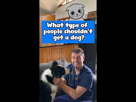 Dr Evan - Signs you should be a pet owner! 🐶