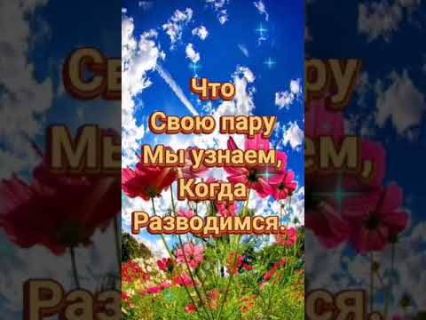 МУДРОСТЬ ДНЯ. 💯 Слова со смыслом. 💯 Мудрые слова. 💯 Правда.