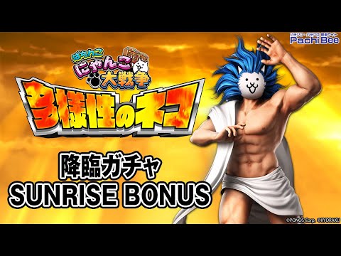 【P にゃんこ大戦争 多様性のネコ】降臨ガチャ／SUNRISE BONUS【#パチンコ 】【#パチスロ 】【#スマパチ 】【#スマスロ 】【#新台動画 】