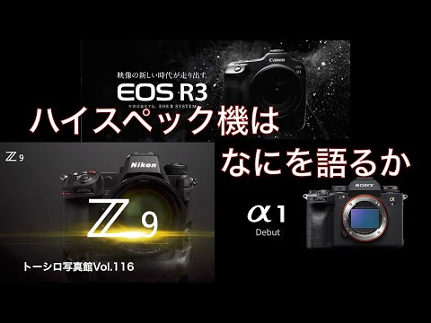 【ミラーレス新時代】ハイスペックなフルサイズ機から感じたこと。