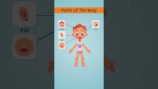 Parts Of The Body | #learnenglish #english #vocabulary #kids #kidsvideo #partsofthebody #shorts