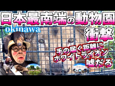 【沖縄おすすめ】沖縄動物園を徹底攻略！マップで巡る動物園散策！県民大好き! 沖縄こどもの国 okinawa japan zoo【沖縄旅行】