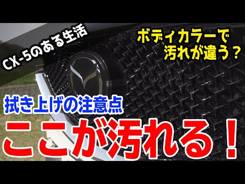 ボディカラーで変わる？CX-5の拭き上げ注意点と汚れが目立つスポットを紹介！