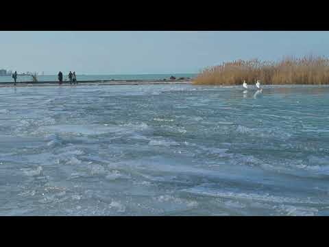 Cold meeting - short film- Balaton frozen 2024 - nikon z6 footage