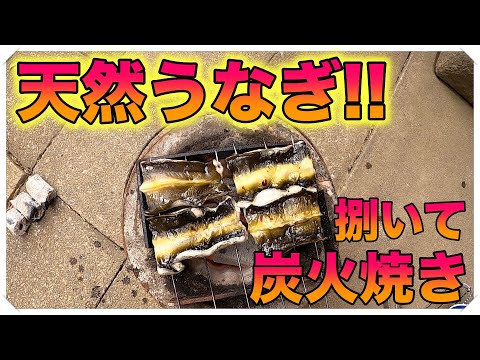 天然うなぎ釣り【料理編　捌き方】 捌いて炭火焼