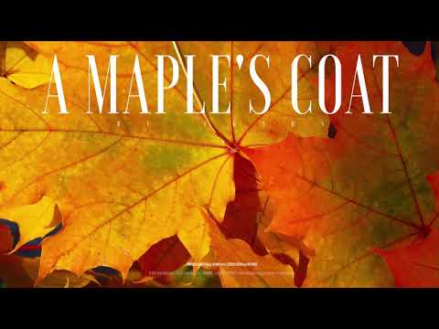 #165 A Maple's Coat (Official)