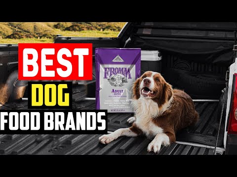 ✅Top 5 Best Dog Food Brands in 2024