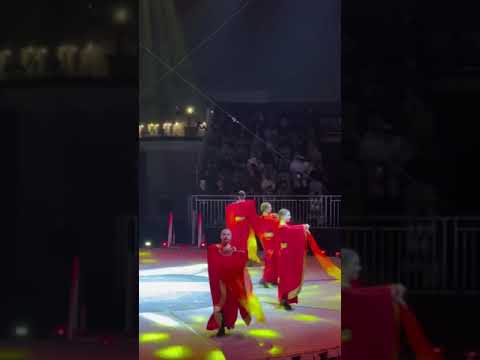 Beyond Reality- International Circus Qatar 2024-25 at Al Wakra Old Souq… #circus #qatar #viralvideo