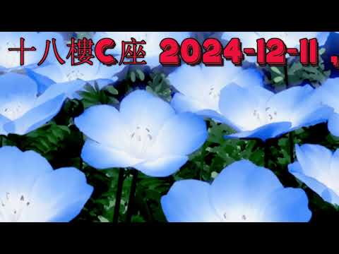 十八樓C座 2024-12-11 ,