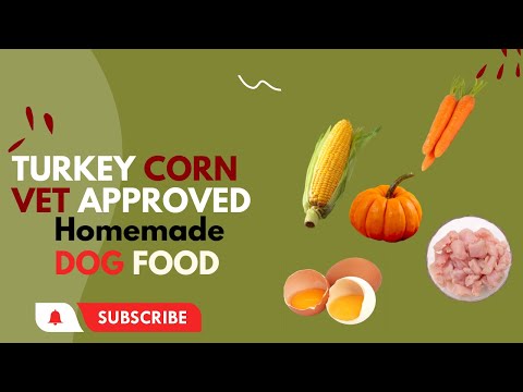 Turkey and Corn Homemade vet approved easy to cook Human grade dog food | blogsbyibrar