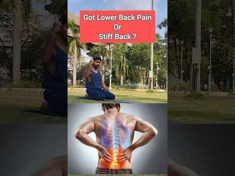 Got Lower Back Pain or Stiff Back ? #shorts #ytshorts