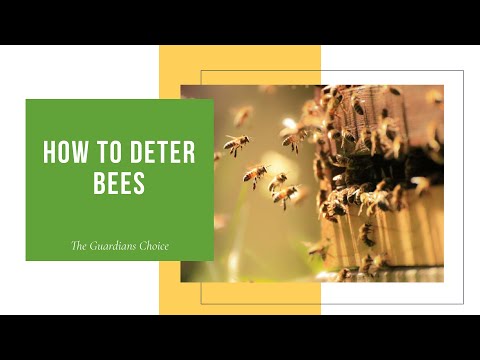 3 Ways to Deter Bees | How to Deter Bees | The Guardians Choice