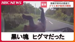 【衝突の瞬間】乗用車の前に飛び出して来たのは…ヒグマ　車と衝突して立ち上がり藪の中へ「クマだと気づいたのはぶつかる直前…」　北海道音威子府村