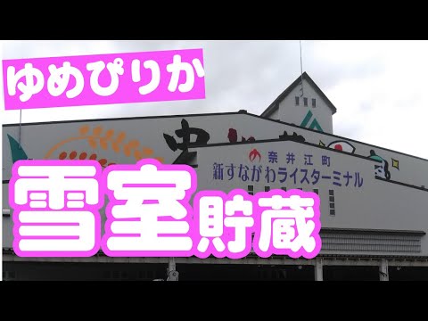 大人の工場見学　新すながわライスターミナル　（ゆめぴりか　雪室倉庫解説編）