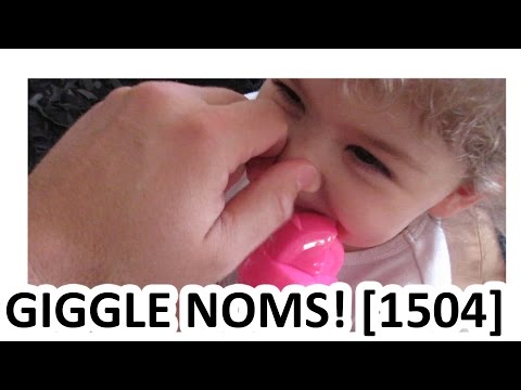 STOP MOTION GIGGLES! [1504]