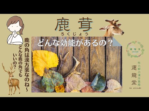 【更年期・不妊症も改善？】アンチエイジングの最高峰「鹿茸」の秘密とは？