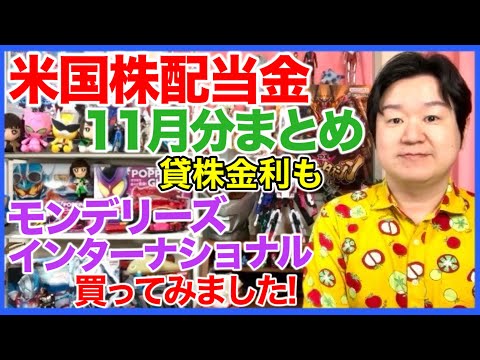 【米国株配当金】24年11月分まとめ！