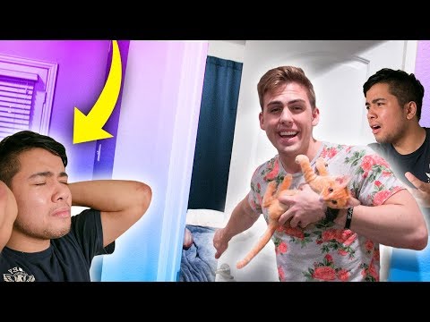 GIVING PET KITTEN TO ALLERGIC ROOMMATE!!! (FREAKOUT) | NoBoom