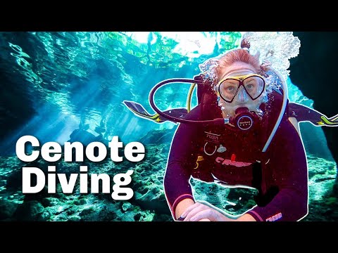 Best Cenote Diving in Mexico | Diving in Tulum | Cavern Diving Mexico