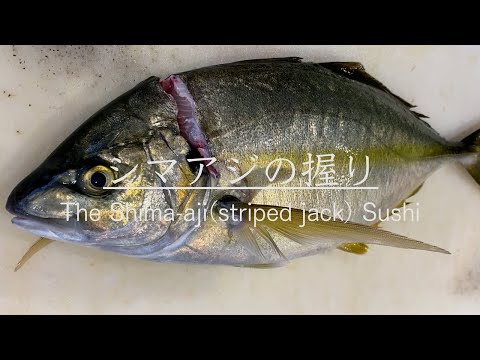 【江戸前寿司】シマアジの仕込みから握り寿司になるまで！　How to make vinegared Shima-aji(striped jack) Sushi