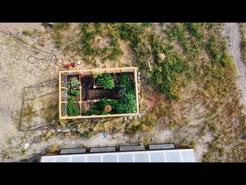 Lowest Cost Greenhouse Ever