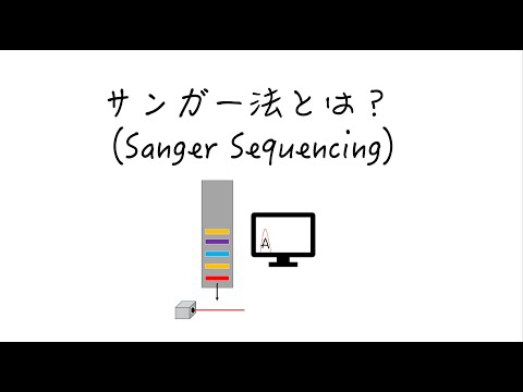 【DNAシーケンス】サンガー法とは？