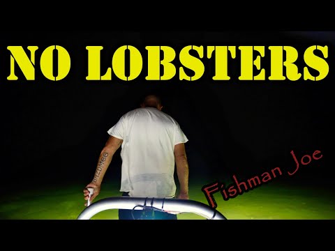 What Happened to the Florida Lobster? Bully Netting at Night ! (Fishman Joe)