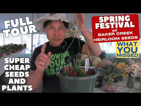 Best Plants at Baker Creek Heirloom Seeds Spring Tulip Festival