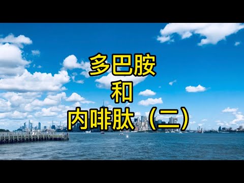 追逐内啡肽，内啡肽是什么？为什么每个人都需要内啡肽